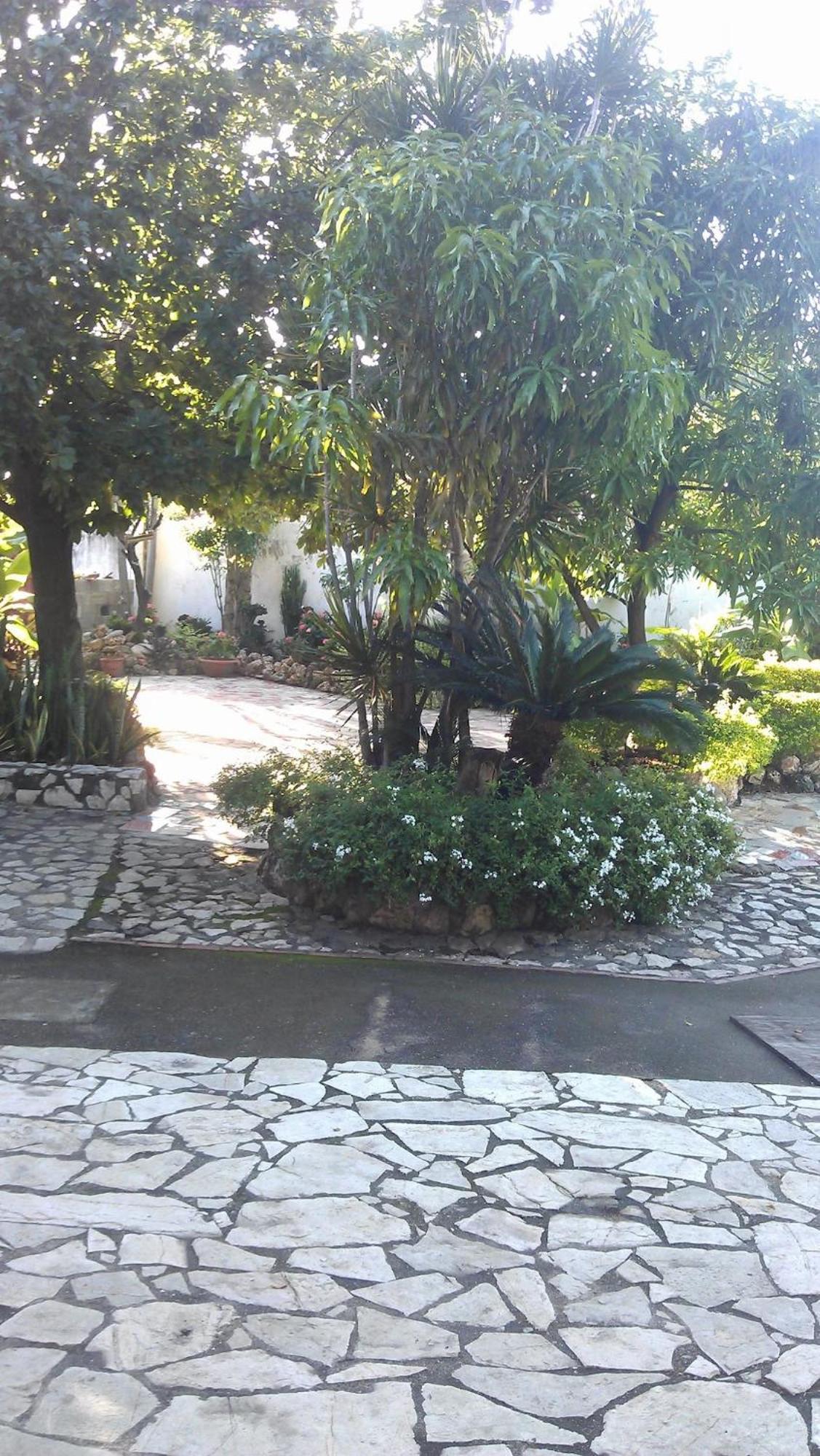 Hotel Tropicana Santo Domingo La Viva المظهر الخارجي الصورة